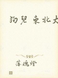 狗儿 东北大炕