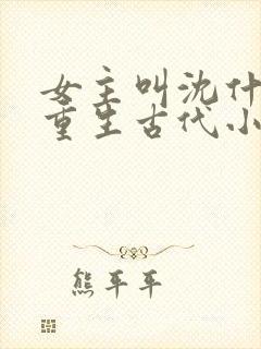女主叫沈什么的重生古代小说封面