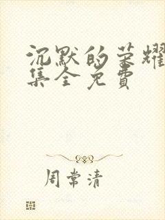 沉默的荣耀27集全免费封面