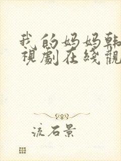我的妈妈韩剧电视剧在线观看免费第四集