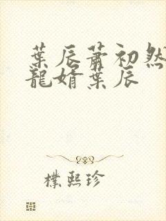 叶辰萧初然上门龙婿叶辰