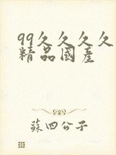 99久久久久久精品国产封面