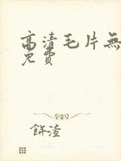 高清毛片无遮挡免费