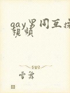 gay男同互操视频