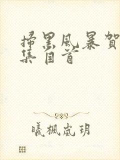 扫黑风暴贺芸哪集自首封面