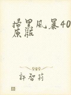 扫黑风暴40集原版封面