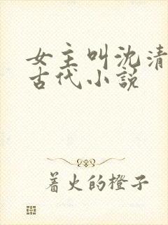 女主叫沈清欢的古代小说封面