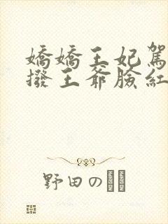 娇娇王妃驾到撩拨王爷脸红心跳