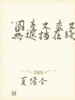 '国产又爽又黄无遮挡在线视频,观看