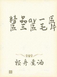 精品av一区二区三区毛片在线播放