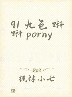 91 九色 蝌蚪 porny封面