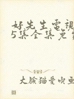 好先生电视剧45集全集免费播放封面