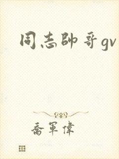 同志帅哥gv网