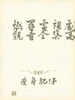 燃罪电视剧免费观看全集高清封面