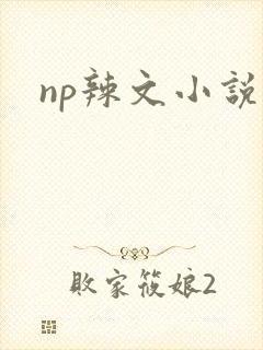 np辣文小说