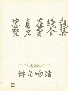 忠贞在线观看完整免费全集高清