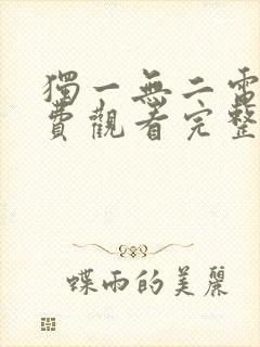 独一无二电影免费观看完整版高清封面
