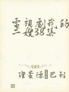 电视剧我的二哥二嫂38集