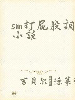 sm打屁股调教小说封面