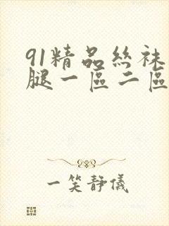 91精品丝袜美腿一区二区三区