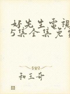 好先生电视剧45集全集免费播放