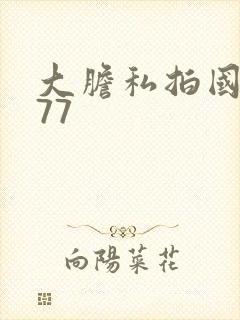 大胆私拍国模377