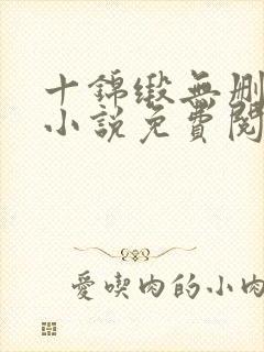 十锦缎无删原著小说免费阅读