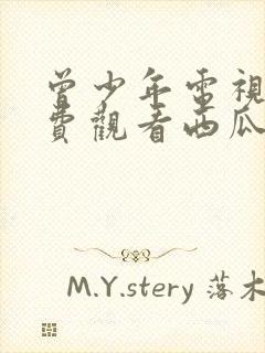 曾少年电视剧免费观看西瓜
