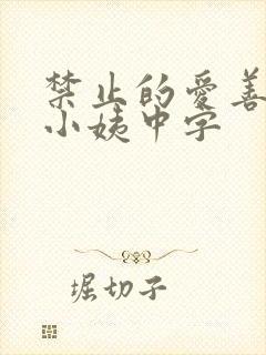 禁止的爱善良的小姨中字封面