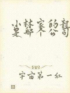 小林家的龙女仆是哪个公司出品的