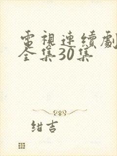 电视连续剧陈真全集30集
