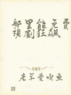 哪里能免费看电视剧狂飙