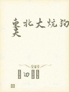 东北大炕狗儿姨夫