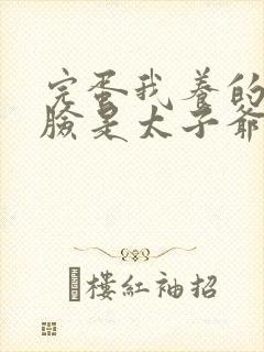 完蛋我养的小白脸是太子爷短剧