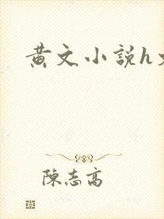黄文小说h文