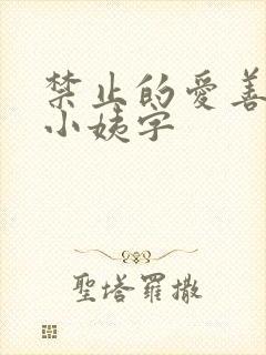 禁止的爱善良的小姨字封面