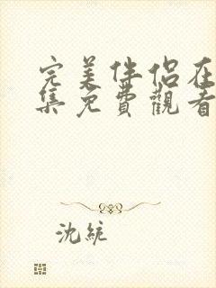 完美伴侣在线全集免费观看