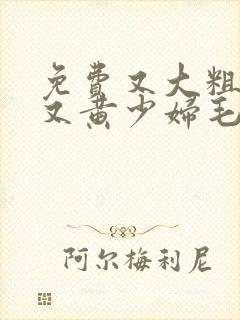 免费又大粗又爽又黄少妇毛片久久