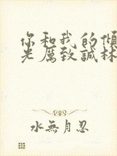 你和我的倾城时光厉致诚林浅