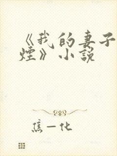 《我的妻子柳如烟》小说