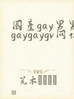 国产gay男男gaygaygv网站封面