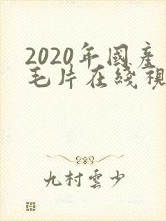 2020年国产毛片在线视频