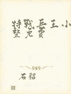 特战兵王小说完整免费