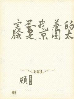 完蛋我养的小白脸是京圈太子爷