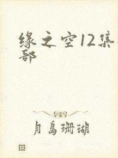 缘之空12集全部封面