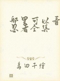 哪里可以看火影忍者全集