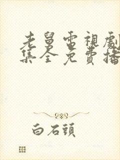 老舅电视剧27集全免费播放