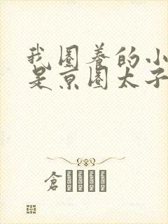 我圈养的小白脸是京圈太子爷短剧封面