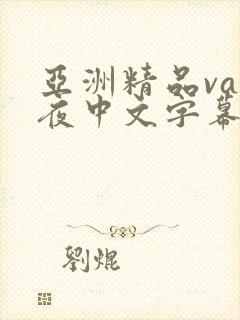 亚洲精品va午夜中文字幕