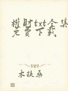 权财txt全集免费下载封面